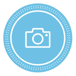 ENVÍO DE FOTOS Y FICHAS DE LOS CACHORROS DISPONIBLES